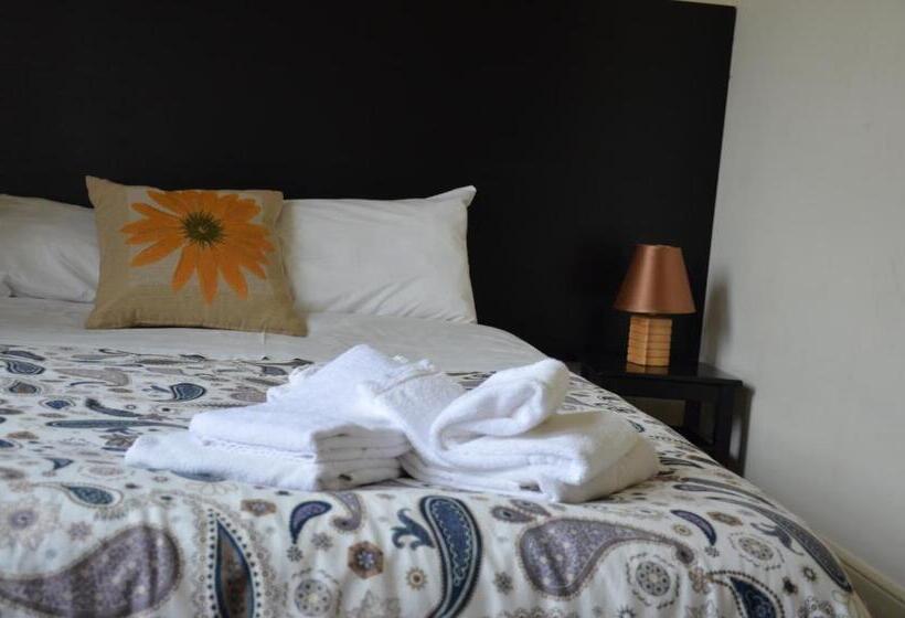 Семейные Апартаменты, Alameda Guest House 1