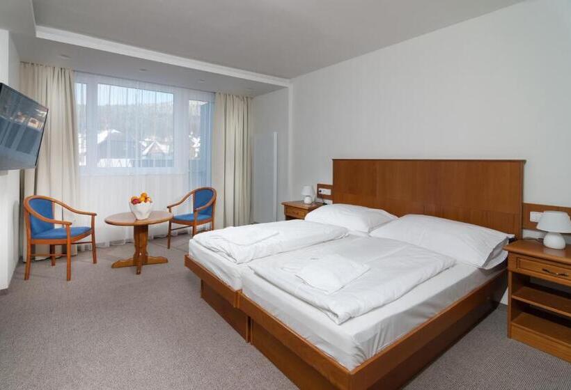 اتاق کلاسیک, Wellness Hotel Astra