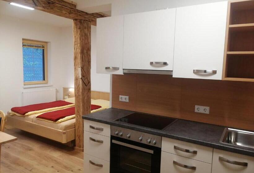 Студио Стандарт с Балконом, Ferienhof Gindl Und Gästehaus Gindl
