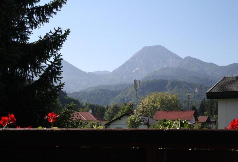 Номер Стандарт, Pension Ferienwohnung Rotar