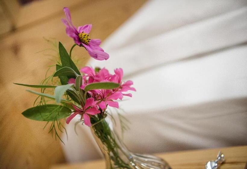 Трехместный Номер Классика, Family Hotel Adriana
