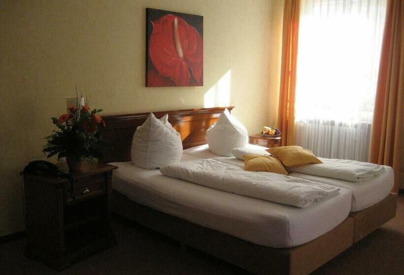 Номер Стандарт, Altstadthotel Schex