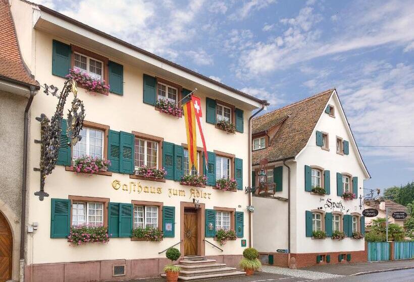 Номер Стандарт, Adler   Weil Am Rhein