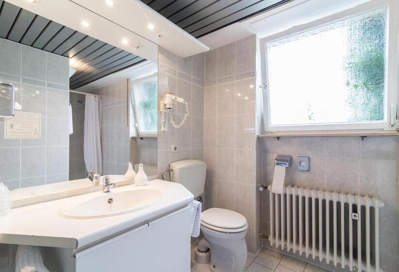 Номер Стандарт, Thermen Hotel & Restaurant Bad Soden