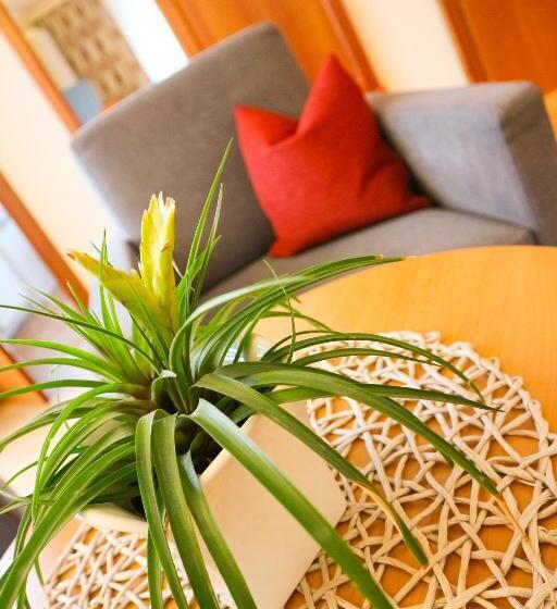 Номер Basic, Ortner S Resort