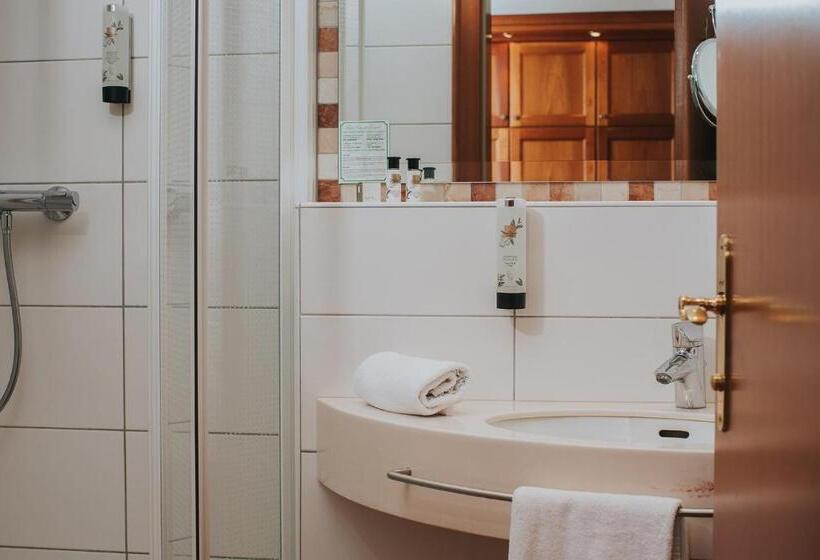 Номер Стандарт Индивидуальный, Ortner S Resort