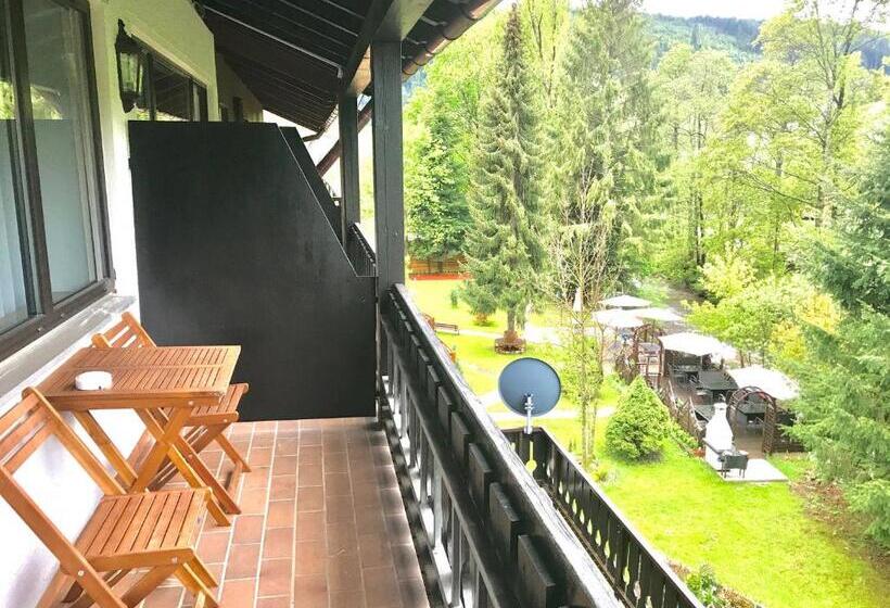 스탠다드 싱글 룸, Schwanen Resort