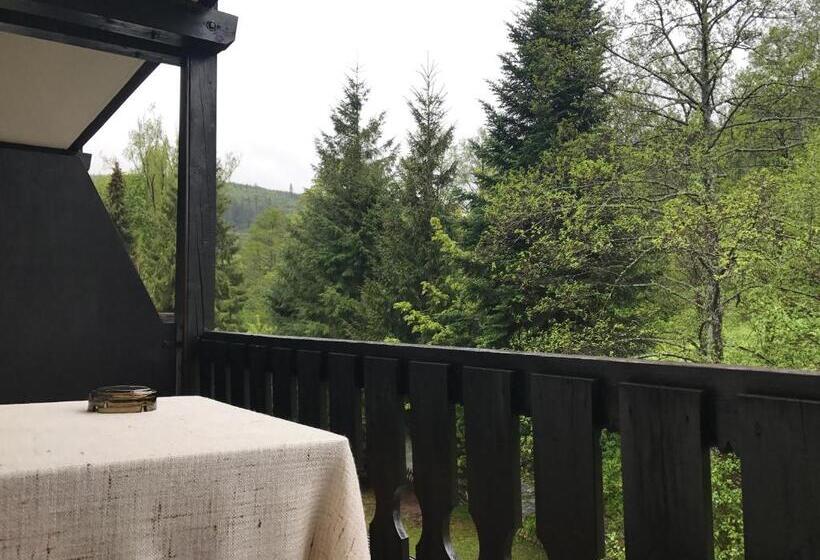 스탠다드 트리플 룸, Schwanen Resort