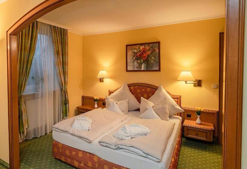 Полулюкс, Parkhotel Traunstein