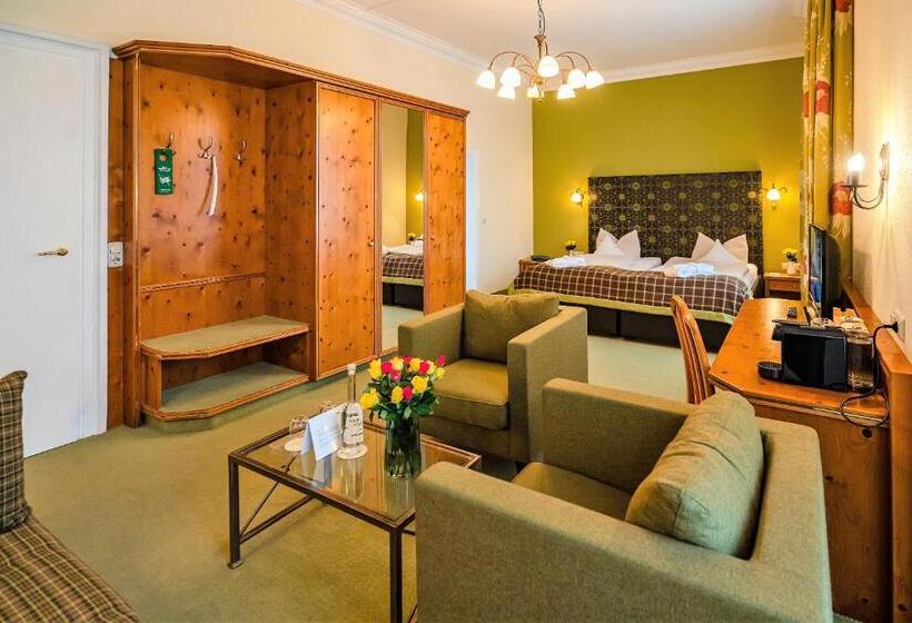 Номер Superior, Parkhotel Traunstein