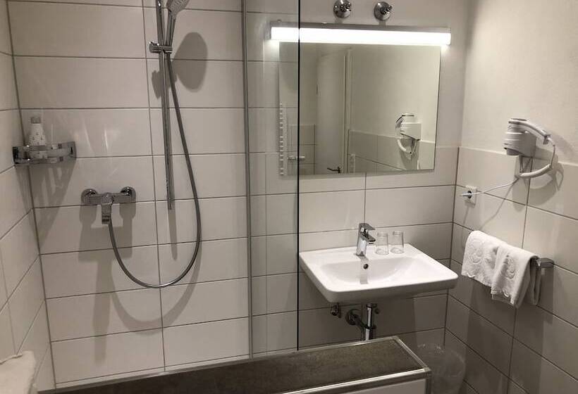 غرفة قياسية فردية, Gasthof Flotzinger Brau