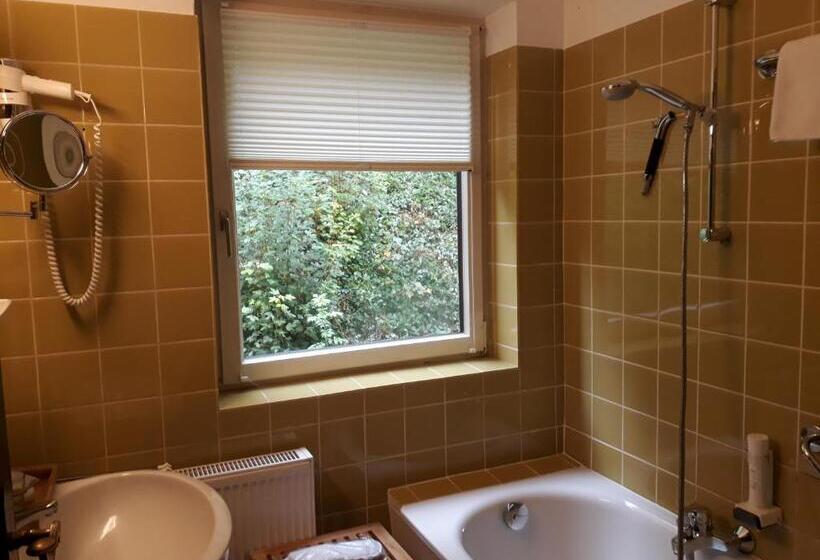 스탠다드 룸, Naturidyll Hotel Hammerschmiede