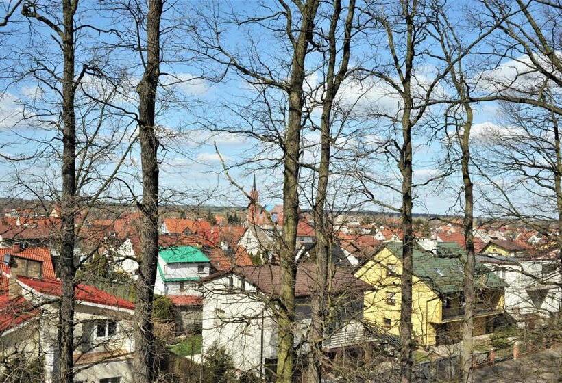 Номер Стандарт, Protea Bolesławiec