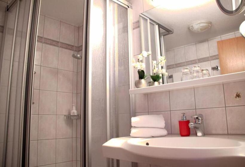 Номер Стандарт, Land Gut Hotel Höhengasthof Adler
