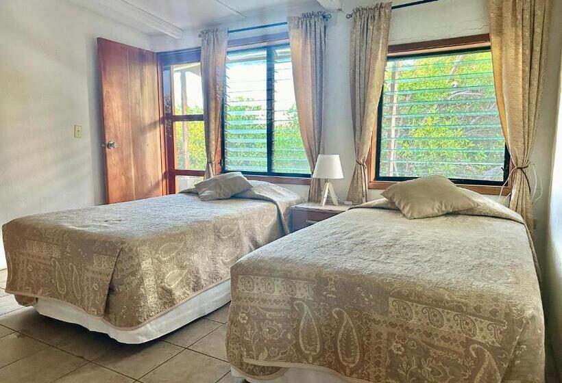 اتاق استاندارد سه تخته با چشم‌انداز باغ, Jean's Home