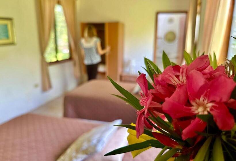 اتاق استاندارد با چشم‌انداز باغ, Jean's Home
