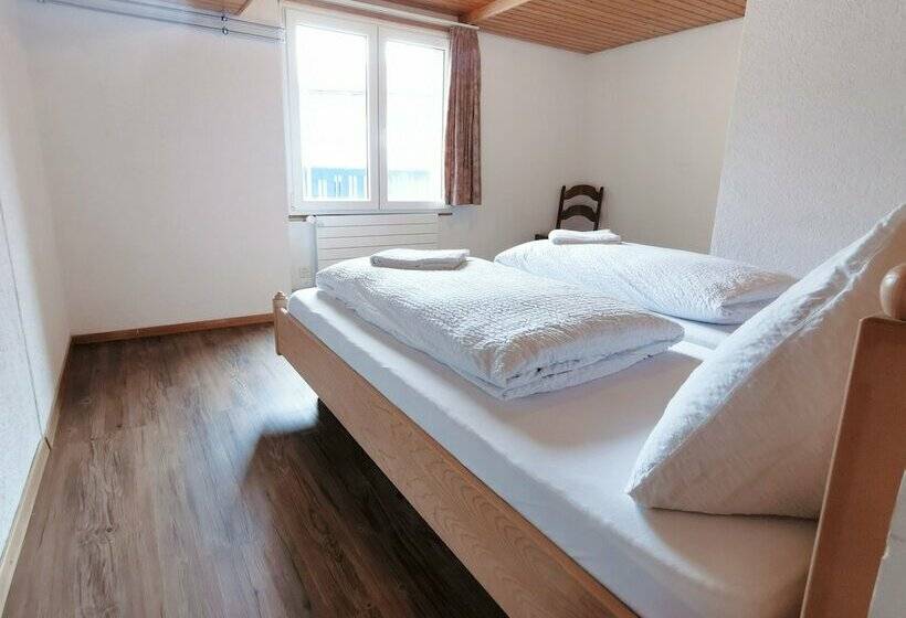 آپارتمان کامفورت 2 خوابه, Interlaken Höhematte Apartment