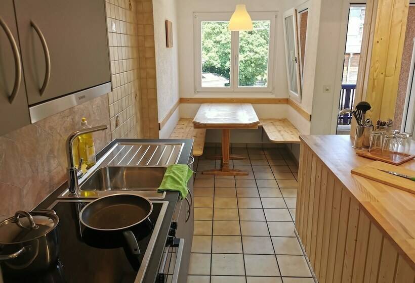 آپارتمان کامفورت 2 خوابه, Interlaken Höhematte Apartment
