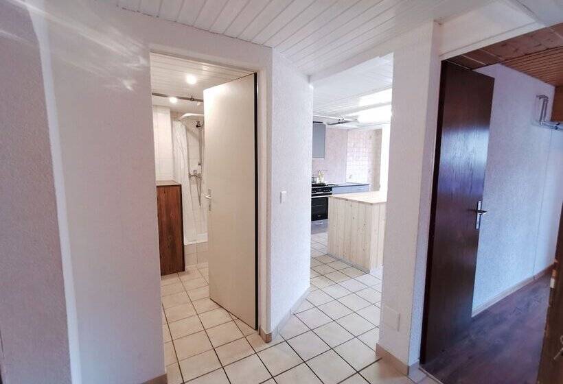 آپارتمان کامفورت 2 خوابه, Interlaken Höhematte Apartment