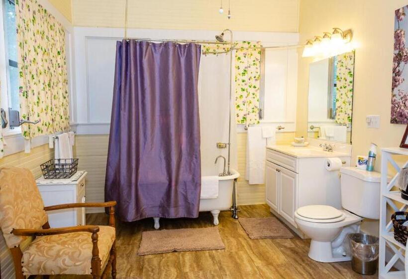 سوییت لوکس, The Charleston Inn Hendersonville Nc