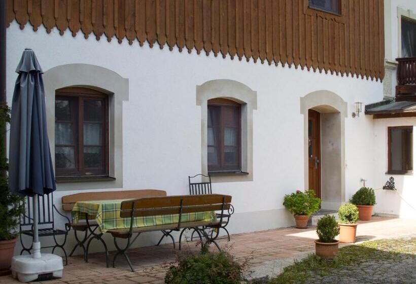 Апартаменты 1 Спальня с Террасой, Pension Bernhardhof