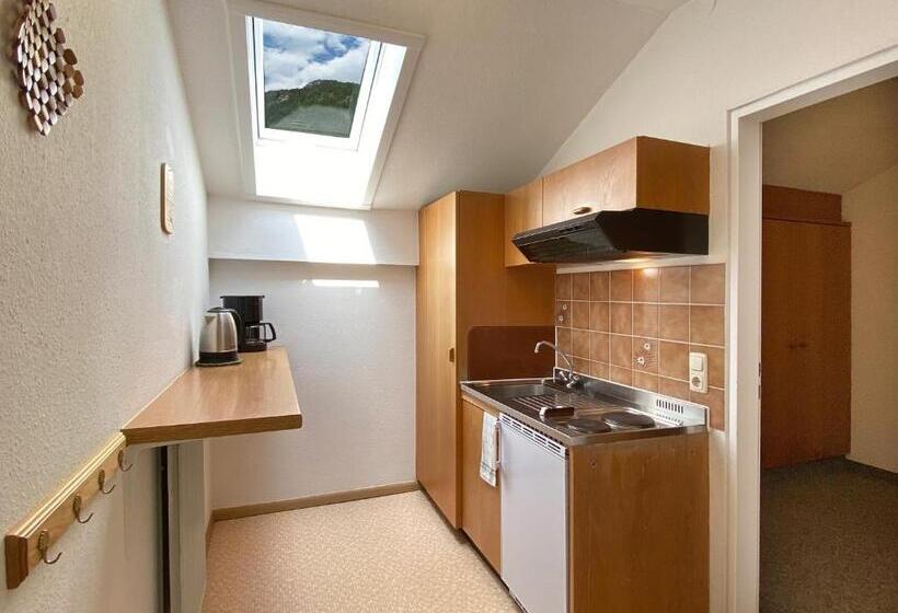 Апартаменты 1 Спальня, Appartement Hotel Happy Kienberg