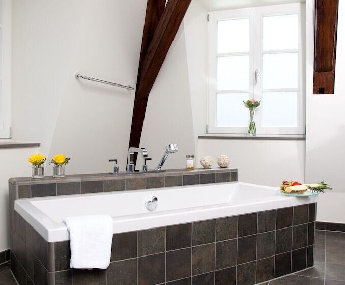 Полулюкс, Schlosshotel Bergzaberner Hof