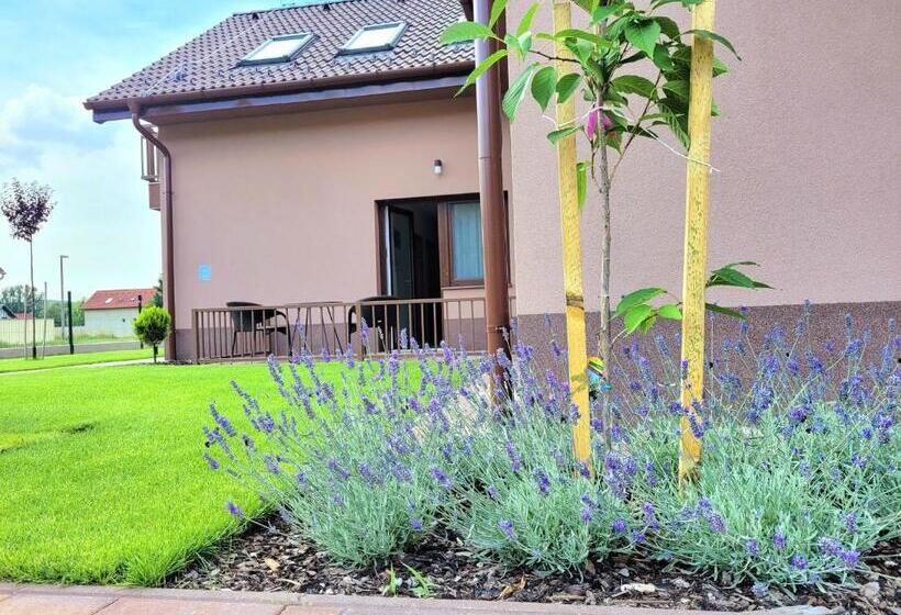 سوئیت جونیور خانوادگی, Silver Lodge Vendégház Egerszalók