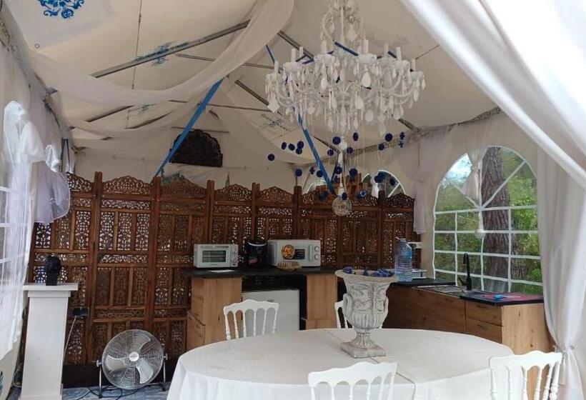 디럭스 스튜디오, Art Villa Claudia