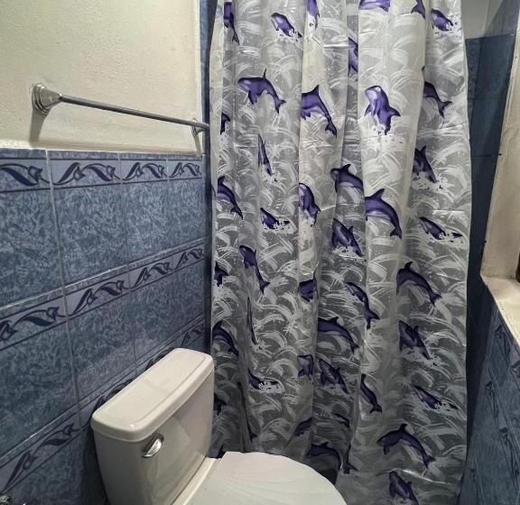 Номер Стандарт, Hostal Tortuga Viajera