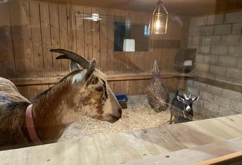 테라스 스위트, Nicura Ranch Inn & Stables