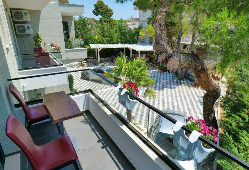 اتاق استاندارد, Vila Celaj