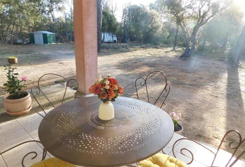 Номер Стандарт, Chez Marie