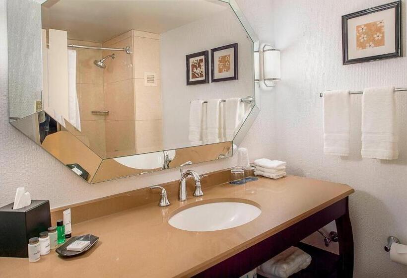 Люкс Кровать Кинг, Sheraton Westport Plaza