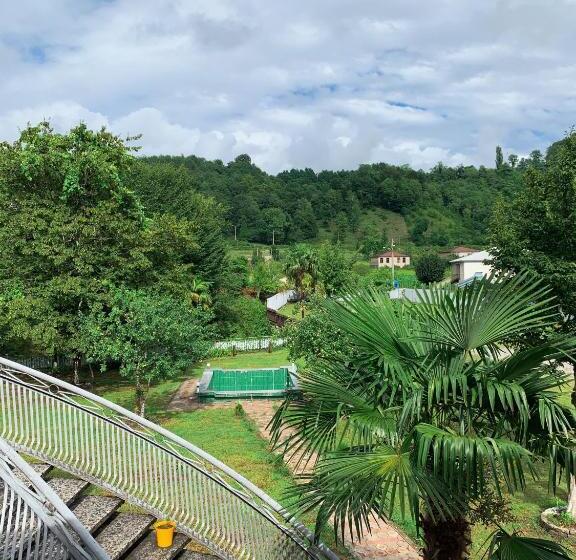اتاق استاندارد چهارنفره با چشم‌انداز باغ, Matua Guest House