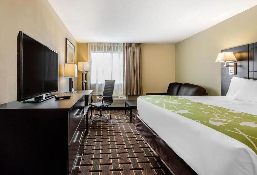 Стандартный Номер Кровать Кинг, Econo Lodge Boaz