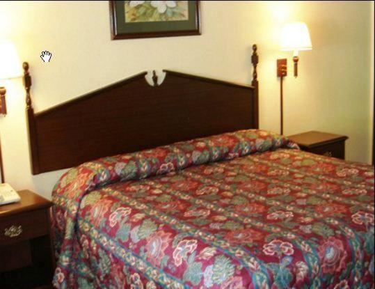 스탠다드 룸 킹사이즈 침대, Scottish Inn Maggie Valley