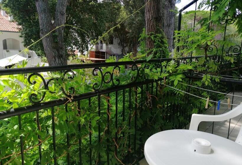 Полулюкс с Балконом, La Tavernetta