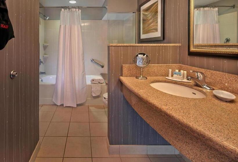 Стандартный Номер Кровать Кинг, Courtyard By Marriott St. Petersburg Downtown