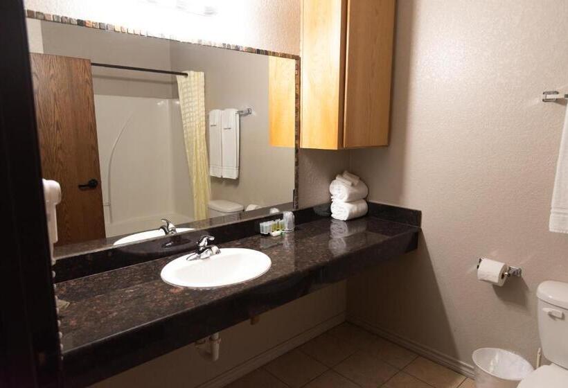 标准间, Premium Inn And Suites