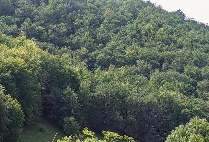 Люкс с Балконом, Source Nature