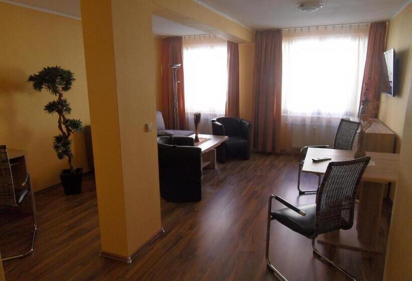 带1个卧室的公寓, Altstadt Hotel Peiß