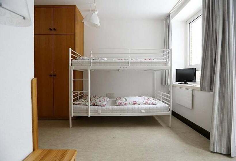 共用房间的床, Hostel Flensburg