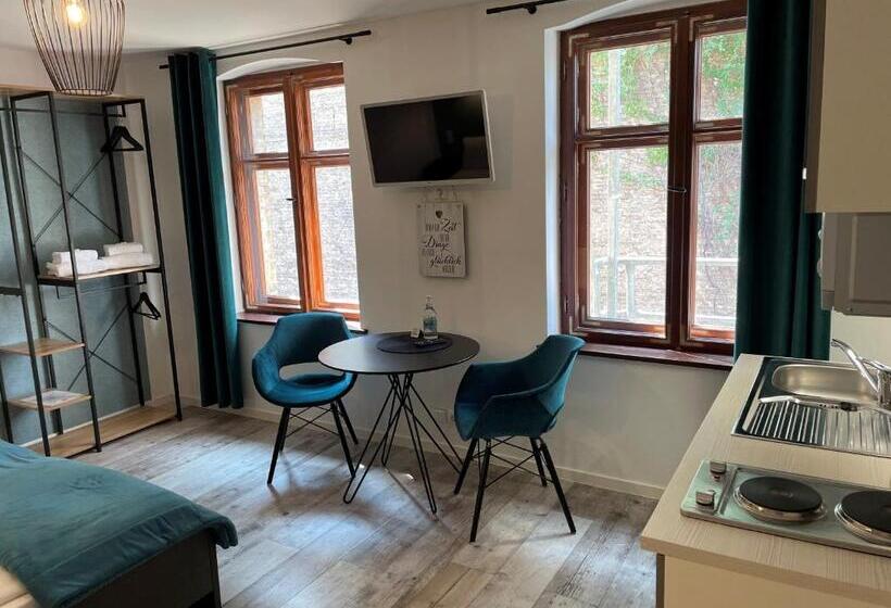 آپارتمان 1 خوابه, Walhalla Aparthotel Potsdam