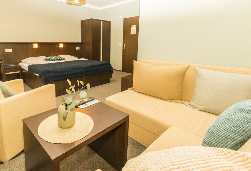 اتاق استاندارد با چشم‌انداز دریاچه, Strandhotel Senftenberger See