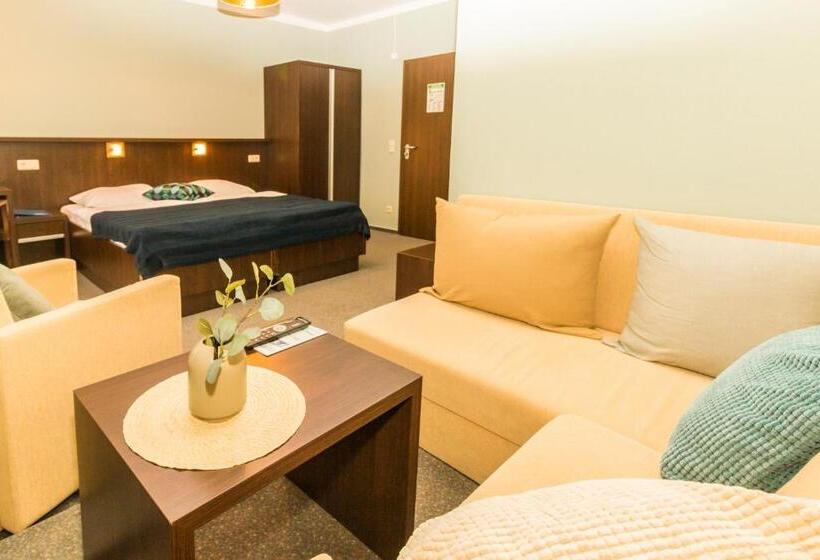 اتاق استاندارد با چشم‌انداز دریاچه, Strandhotel Senftenberger See