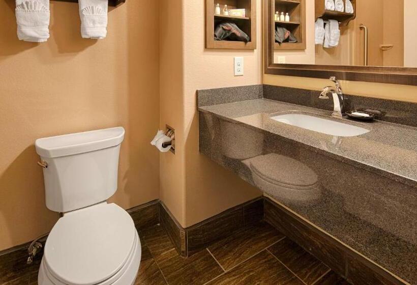 Стандартный Номер Кровать Кинг, Best Western Plus Emerald Inn & Suites