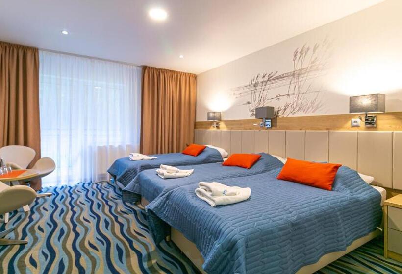 Номер Стандарт Трехместный, Bagińscy Spa