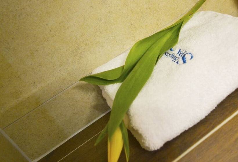 Номер Стандарт, Bagińscy Spa
