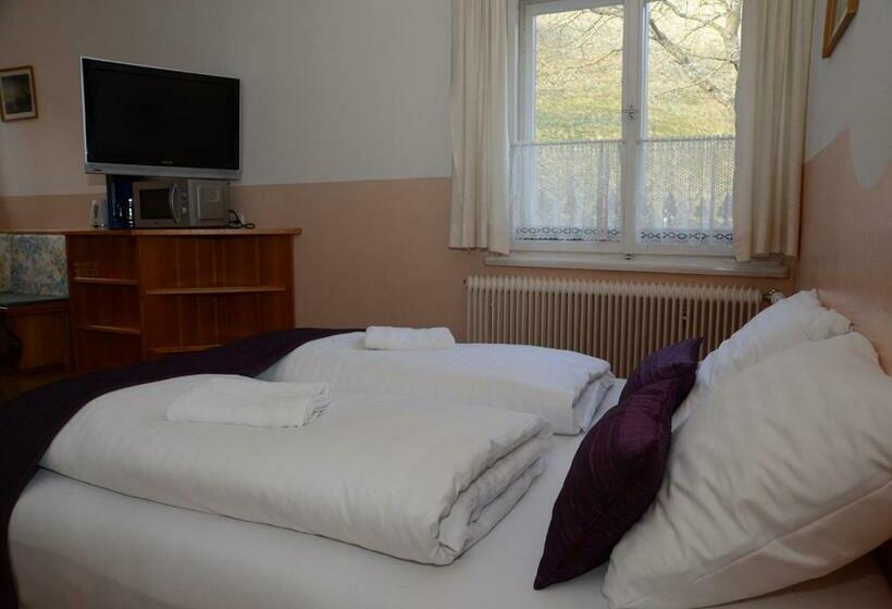 Апартаменты 1 Спальня, Pension Sonnenheim Rooms&apartments